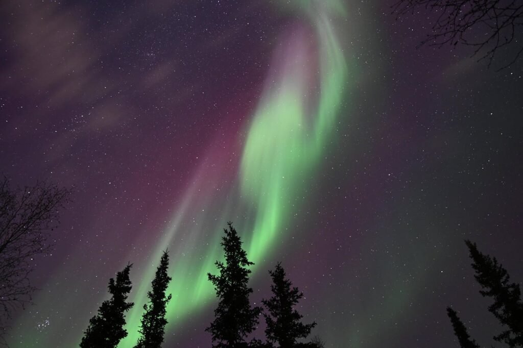 Breathtaking view of the Northern Lights dancing above a forest in Inuvik, Canada.